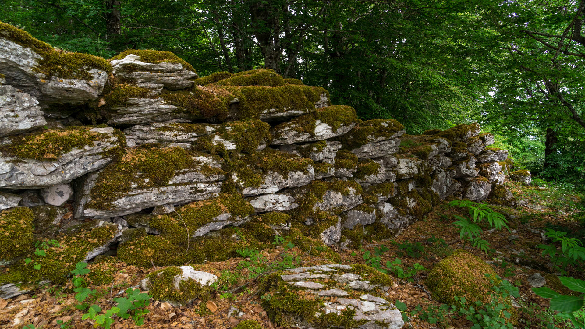 Monte Cavallarizzo Capracotta